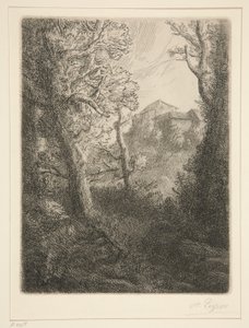 Landschaft