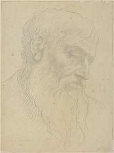 Studie eines Kopfes von Alphonse Legros