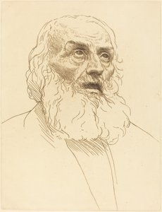 Studie eines alten Mannes von Alphonse Legros
