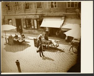 Blick aus dem Fenster von Muchas Wohnung, nahe Amalienstraße, München
