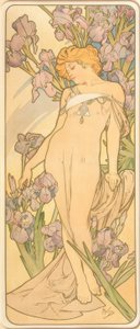 Die Iris