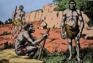 Prähistorie: Darstellung von Homo rhodesiensis oder Mann von Broken Hill, Vorfahre von Homo sapiens, dessen Fossilien in Rhodesien (heutiges Sambia in Afrika) entdeckt wurden. Zeichnung von A. Forestier. DR