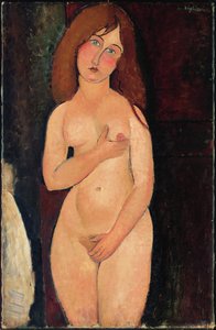 Venus oder Stehender Akt oder Akt Medici