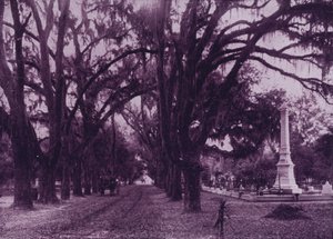 Bonaventure Cemetery, Savannah, Georgia von American Photographer (after)
