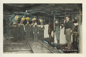 Amerikanischer Kohlebergbau: Sanitärer Maultierstall in der Mine