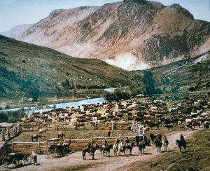 Rinderfarm, Colorado