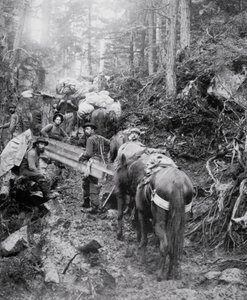 Aufstieg auf dem Dyea Trail auf dem Weg zum Chilkoot Pass während des Klondike-Goldrauschs (1897-98) von American Photographer