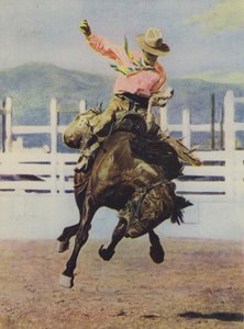 Cowboy bricht ein Pferd ein von American Photographer