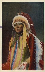 Hollow Horn Bear, Sioux-Indianerhäuptling von American Photographer