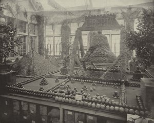 Liberty Bell in Orangen von American Photographer