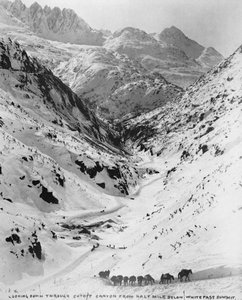 Blick hinunter durch den Cutoff Canyon von einer halben Meile unterhalb des White Pass Summit, während des Klondike-Goldrauschs (1817-98) 1898