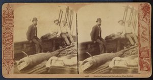 Haie gefangen in Barbados, Westindische Inseln von American Photographer