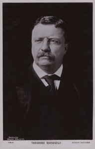 Theodore Roosevelt, amerikanischer Politiker und 26. Präsident der Vereinigten Staaten