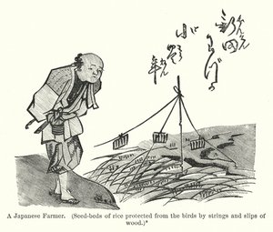 Ein japanischer Bauer, Reissetzlinge vor Vögeln geschützt durch Schnüre und Holzstreifen (Gravur) von American School
