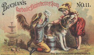 Werbung für Buchans Carbolic Disinfecting Soap No. 11, ca. 1880