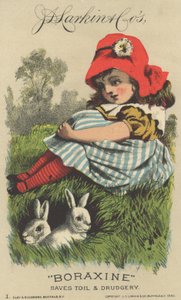 Werbung für J. D. Larkin & Cos Boraxine, 1882 von American School