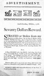 Anzeige, die eine Belohnung von siebzig Dollar für die Wiederbeschaffung von entlaufenen (oder gestohlenen) Pferden und die Ergreifung des Diebes bietet, veröffentlicht in South Carolina, 1768