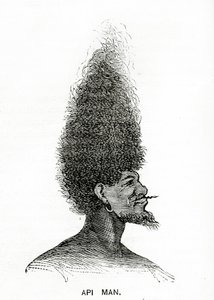 Api-Mann, Illustration aus Appletons Journal, 4. Mai 1872