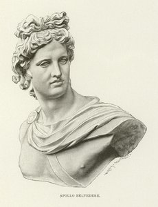 Apollo Belvedere von American School