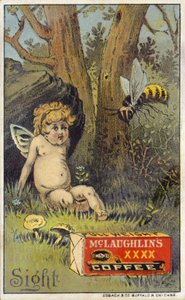 Biene greift Putto an von American School