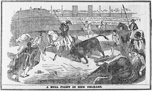 Stierkampf in New Orleans, aus Davy Crocketts Almanack, Boston, 1849