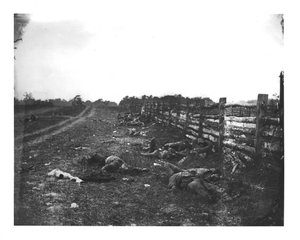 Konföderierte Tote entlang der Westseite des Hagerstown Pike, Schlacht von Antietam, 19. September 1862 von American School