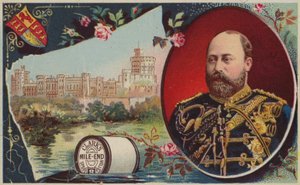 Edward VII., Prinz von Wales