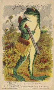 Frosch mit Schrotflinte und Tasche