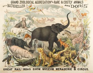 Große zoologische Sammlung seltener und kostbarer Tiere mit Batcheller und Doris von American School