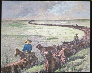 Longhorn-Rindertrieb von Texas nach Abilene, Kansas, ca. 1870er von American School
