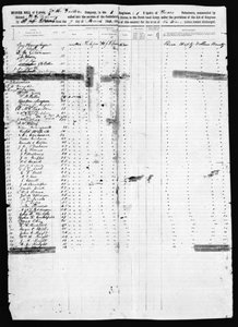 Musterrolle, Dallas County, 1862 von American School