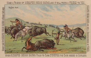 Indianer jagen Büffel von American School