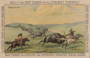 Indianer jagen Büffel von American School