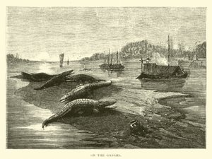 Am Ganges von American School