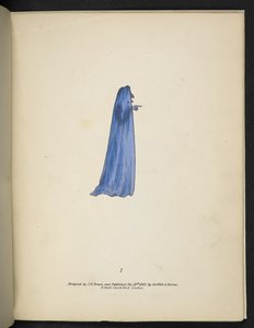 Tafel 7. Ein Geist in Blau. Spectropia; oder, Überraschende spektrale Illusionen, die überall Geister zeigen, und in jeder Farbe, etc. ser. 1. J.H. Brown 1864 von American School
