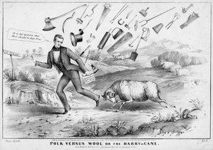 Polk gegen Wolle, oder, Der Harry-Kane, veröffentlicht von H R Robinson, New York, 1844