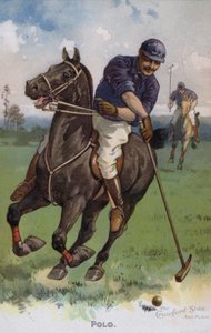 Polo