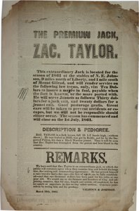 Verhandlungen und Ansprache der Verfassungskonvention, ca. 19. März 1861 von American School