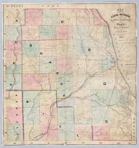 Rees Karte der Cook und DuPage Counties