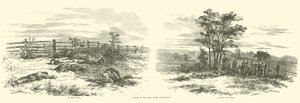 Szenen auf dem Feld nach der Schlacht, September 1862 von American School