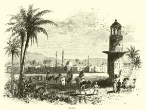 Siout von American School