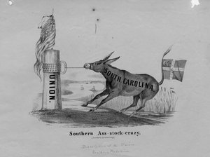 Südlicher Esel-Wahnsinn von American School