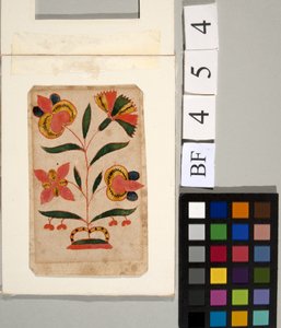 Blumenstudie
