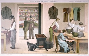 Schneider, Platte aus Prangs Aids for Object Teaching, 1874