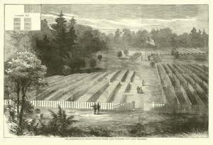 Der Andersonville-Friedhof, wo 14.000 Unionsgefangene begraben wurden, Mai 1865 von American School