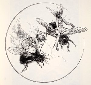 Die Feen, aus Der Weltführer zu Gnomen, Feen, Elfen und anderen kleinen Leuten von Thomas Keightley (1789-1872) veröffentlicht 1880 von American School
