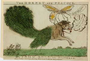 Die Hornisse und der Pfau oder John Bull in Not