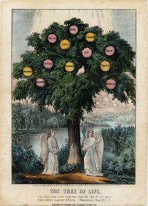 Der Baum des Lebens