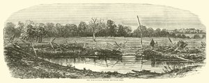 Das Weizenfeld, wo Reynolds fiel, Juli 1863 von American School