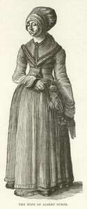 Die Frau von Albrecht Dürer von American School